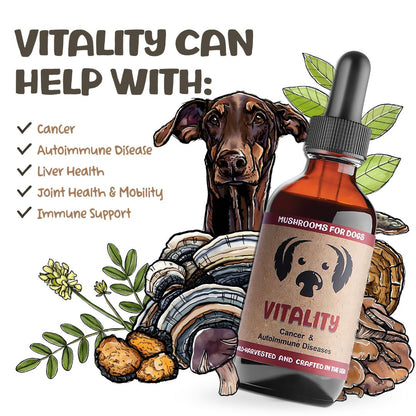 MycoDog Vitality mushroom tincture for dogs with illustrated dog, mushrooms, and list of supported health issues.