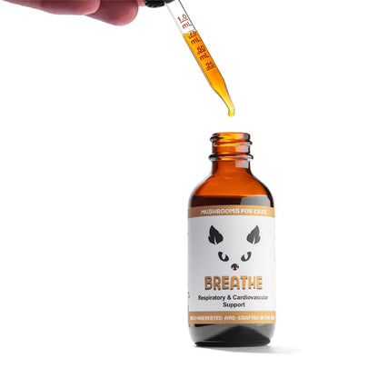 Breathe cat mushroom tincture by MycoCat for respiratory and cardiovascular support, featuring Cordyceps, Reishi, Artist Conk, Chaga, and Ashwagandha. Ideal for brachycephalic cats, cats with collapsed trachea, allergies, or breathing issues."