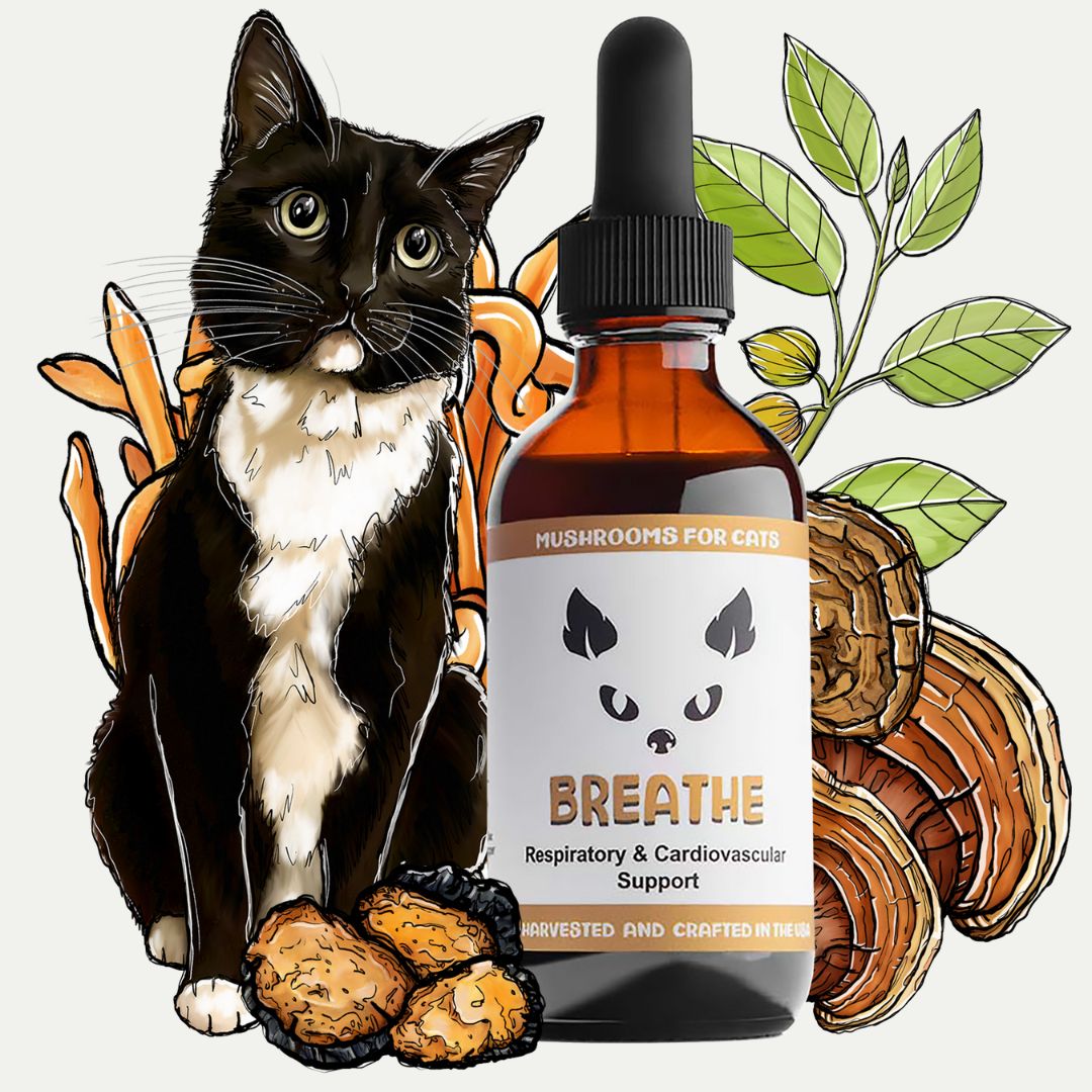 Breathe by MycoCat Respiratory Cardiovascular Support for Cats MycoDog