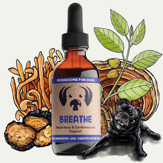 MycoDog Breathe mushroom tincture for dogs with illustrated mushrooms, herbs, and a dog.