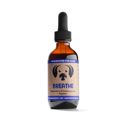 Breathe dog mushroom tincture by MycoDog for respiratory and cardiovascular support, featuring Cordyceps, Reishi, Artist Conk, Chaga, and Ashwagandha. Ideal for brachycephalic dogs, dogs with collapsed trachea, allergies, or breathing issues."