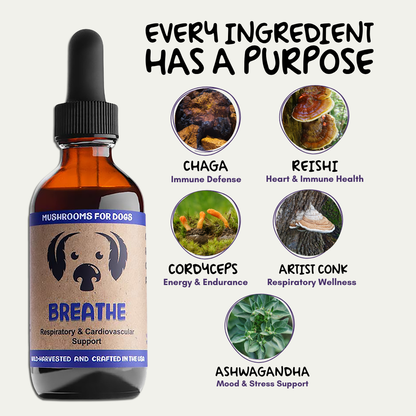 An amber glass dropper bottle labeled 'BREATHE' for dogs, shown beside a set of ingredient callouts including Chaga, Reishi, Cordyceps, Artist Conk, and Ashwagandha, with the headline 'EVERY INGREDIENT HAS A PURPOSE' on a light background.