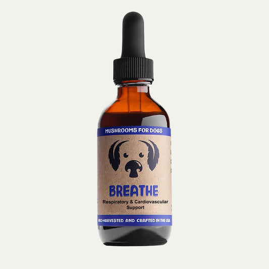 MycoDog Breathe