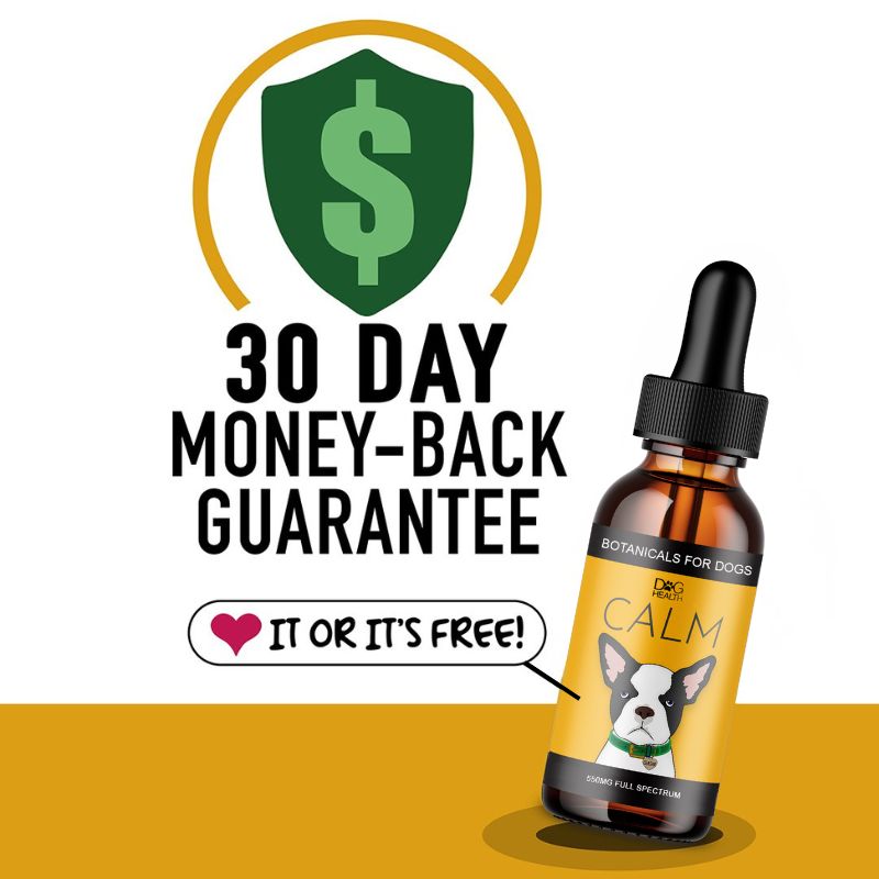 CALM: Travel, Noise & Stress Support