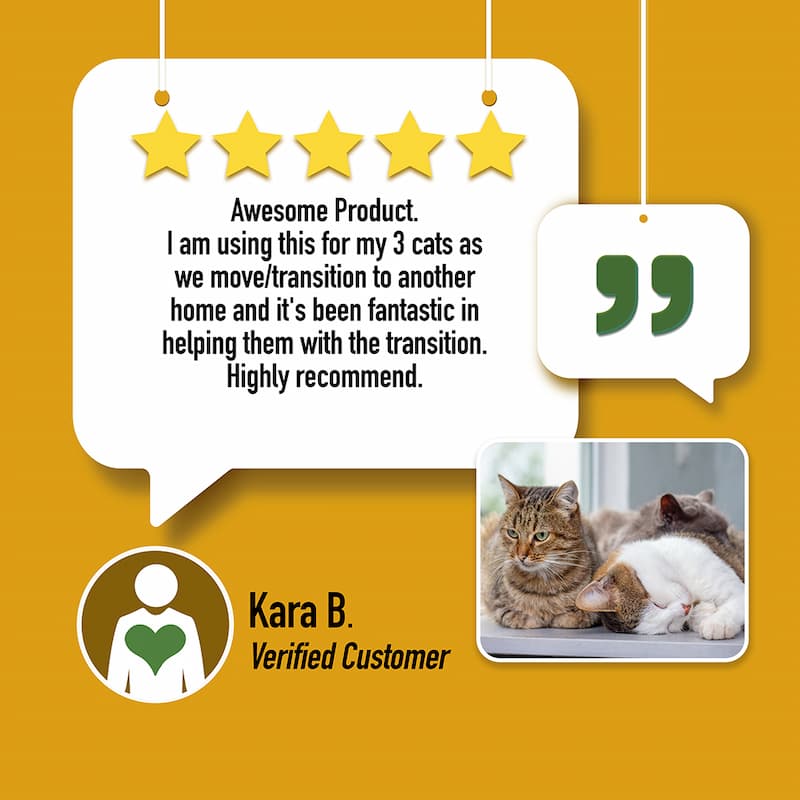 CALM: Travel, Noise & Stress Support for Cats