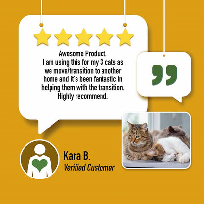 CALM: Travel, Noise & Stress Support for Cats