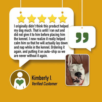 CALM: Travel, Noise & Stress Support