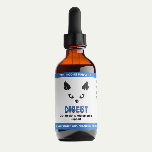 MycoCat Digest