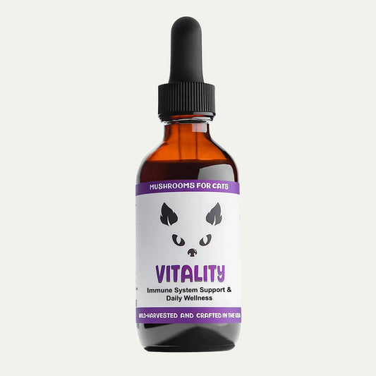 MycoCat Vitality