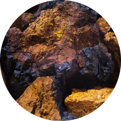 Chaga