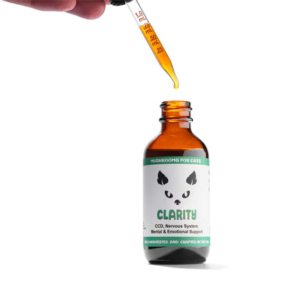 Clarity cat mushroom tincture by MycoCat for CCD, nervous system, mental and emotional support, featuring Cordyceps, Reishi, Lion's Mane, and Ashwagandha.