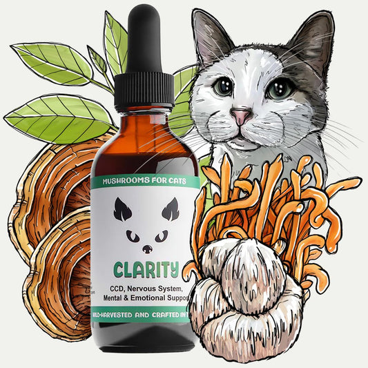 MycoCat Clarity mushroom tincture for cats with illustrated mushrooms, herbs, and a cat.