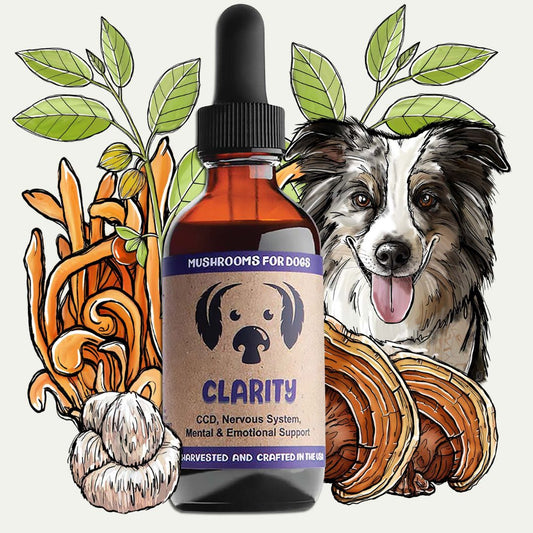 MycoDog Clarity mushroom tincture for dogs with illustrated mushrooms, herbs, and a dog.