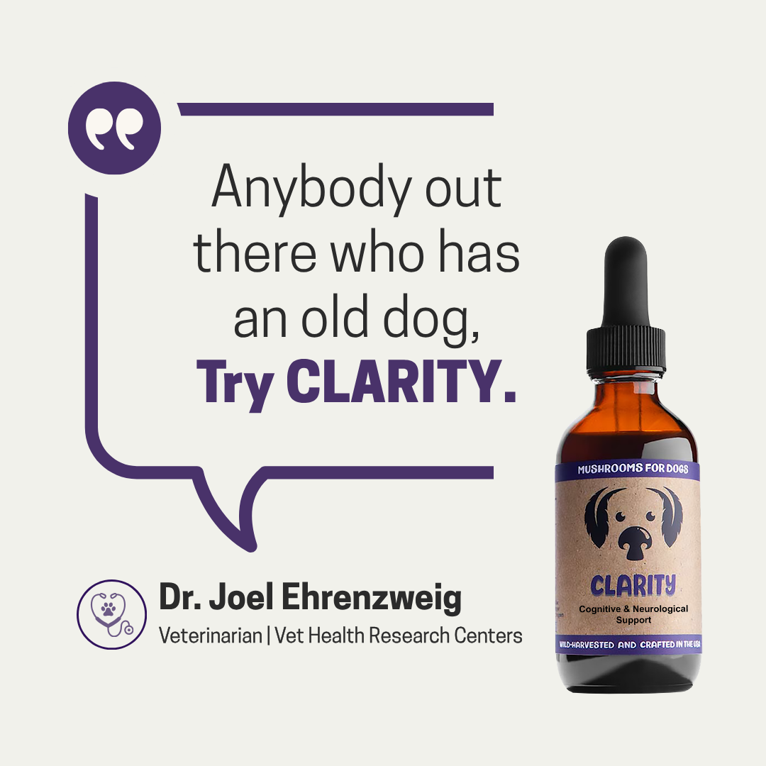 MycoDog Clarity