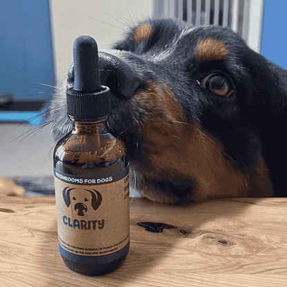MycoDog Clarity