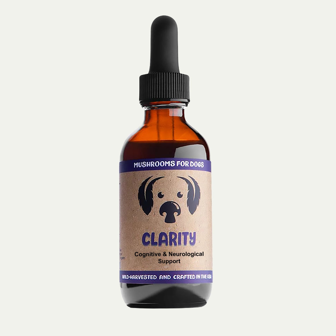MycoDog Clarity
