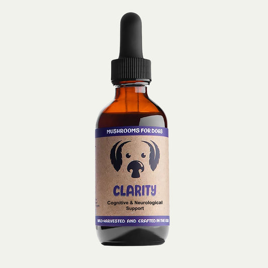 MycoDog Clarity