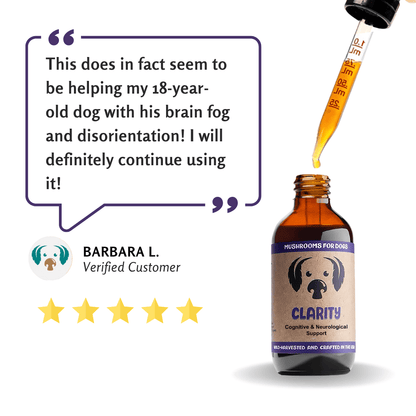 MycoDog Clarity