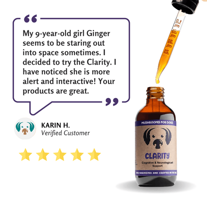 MycoDog Clarity