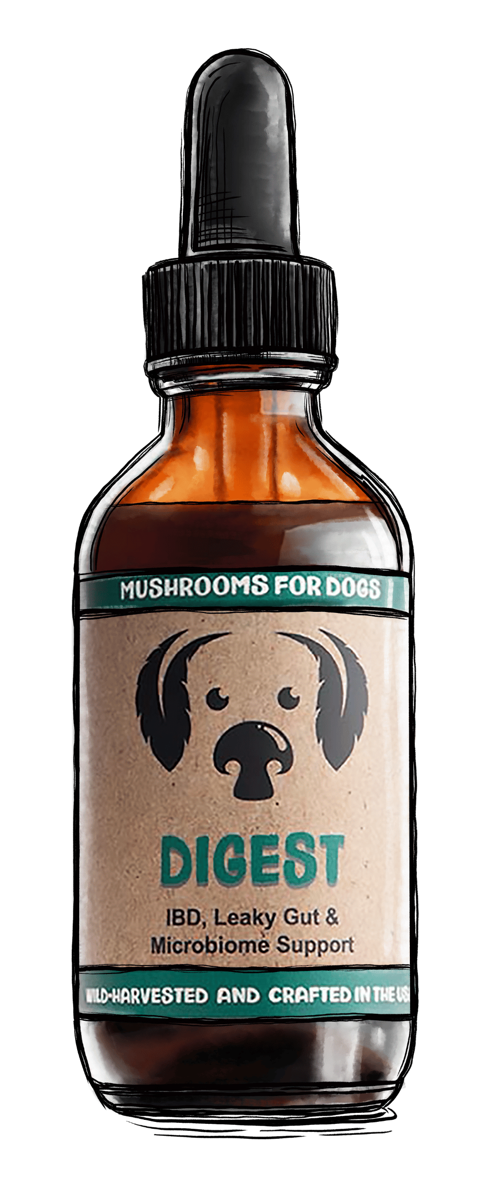 MycoDog Digest Mushrooms for Dogs with IBD leaky gut microbiome digestion diarrhea 