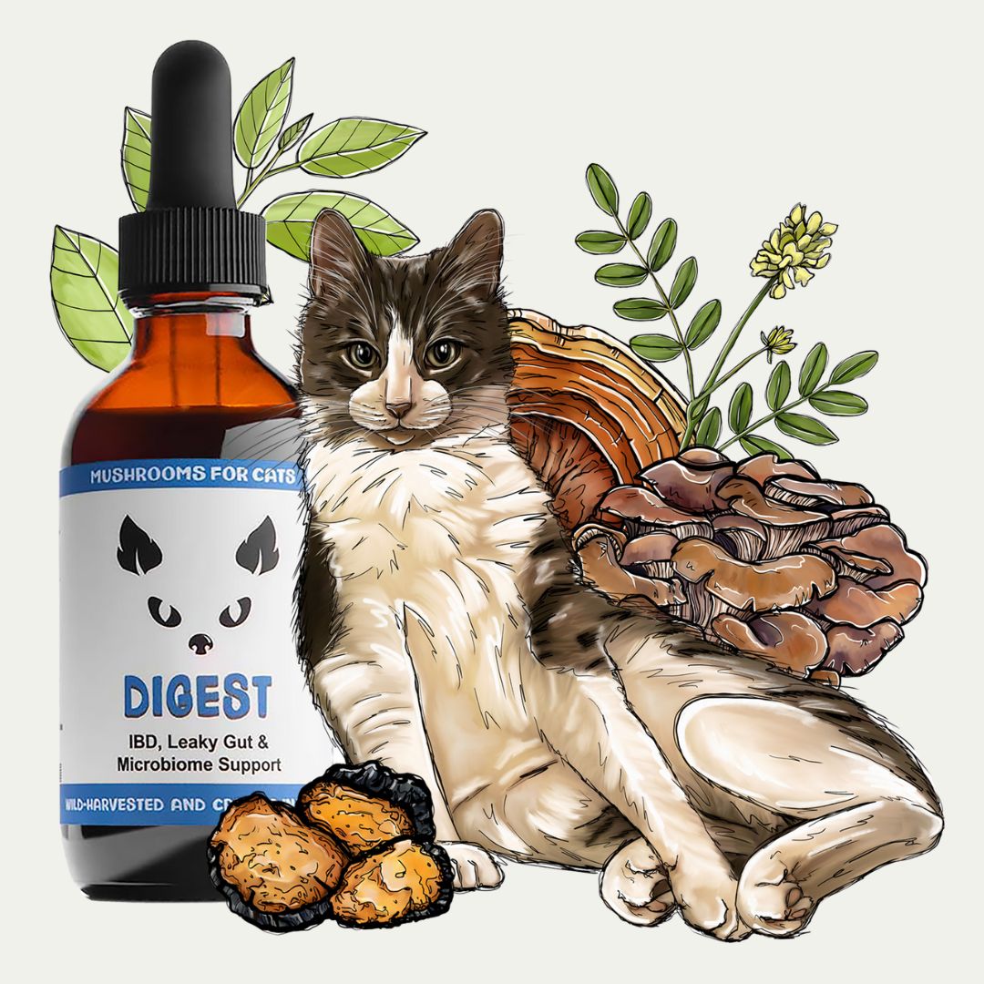 MycoCat Digest mushroom tincture for cats with illustrated mushrooms, herbs, and a cat