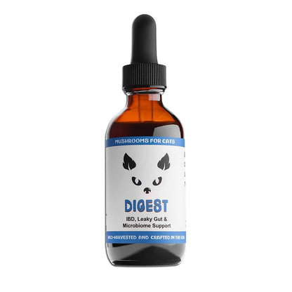 Digest cat mushroom tincture by MycoCat for IBD, leaky gut and gastrointestinal support featuring Lion’s Mane, Shiitake, Turkey Tail, Chaga, and Red Belted Conk, with Astragalus Root, Ashwagandha, and Rhodiola.