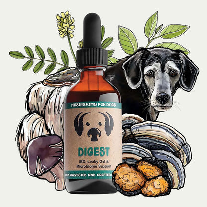 MycoDog Digest mushroom tincture for cats with illustrated mushrooms, herbs, and a dog