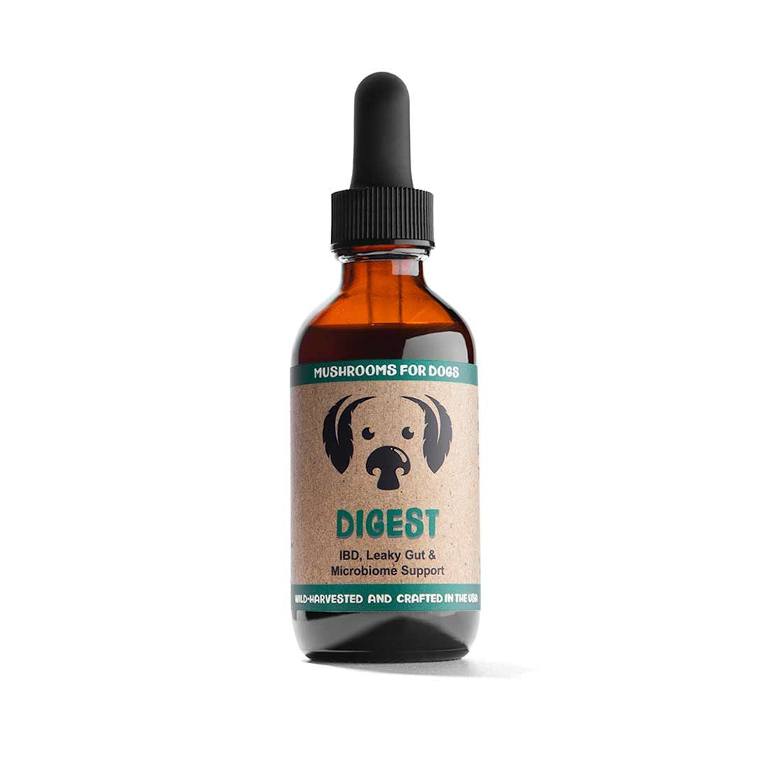 Digest dog mushroom tincture by MycoDog for IBD, leaky gut and gastrointestinal support featuring Lion’s Mane, Shiitake, Turkey Tail, Chaga, and Red Belted Conk, with Astragalus Root, Ashwagandha, and Rhodiola.