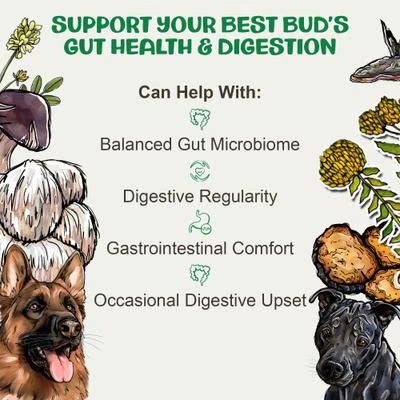 MycoDog Digest