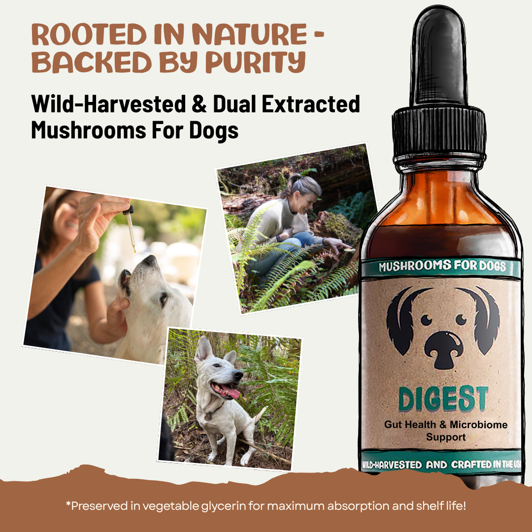 MycoDog Digest