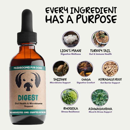 MycoDog Digest