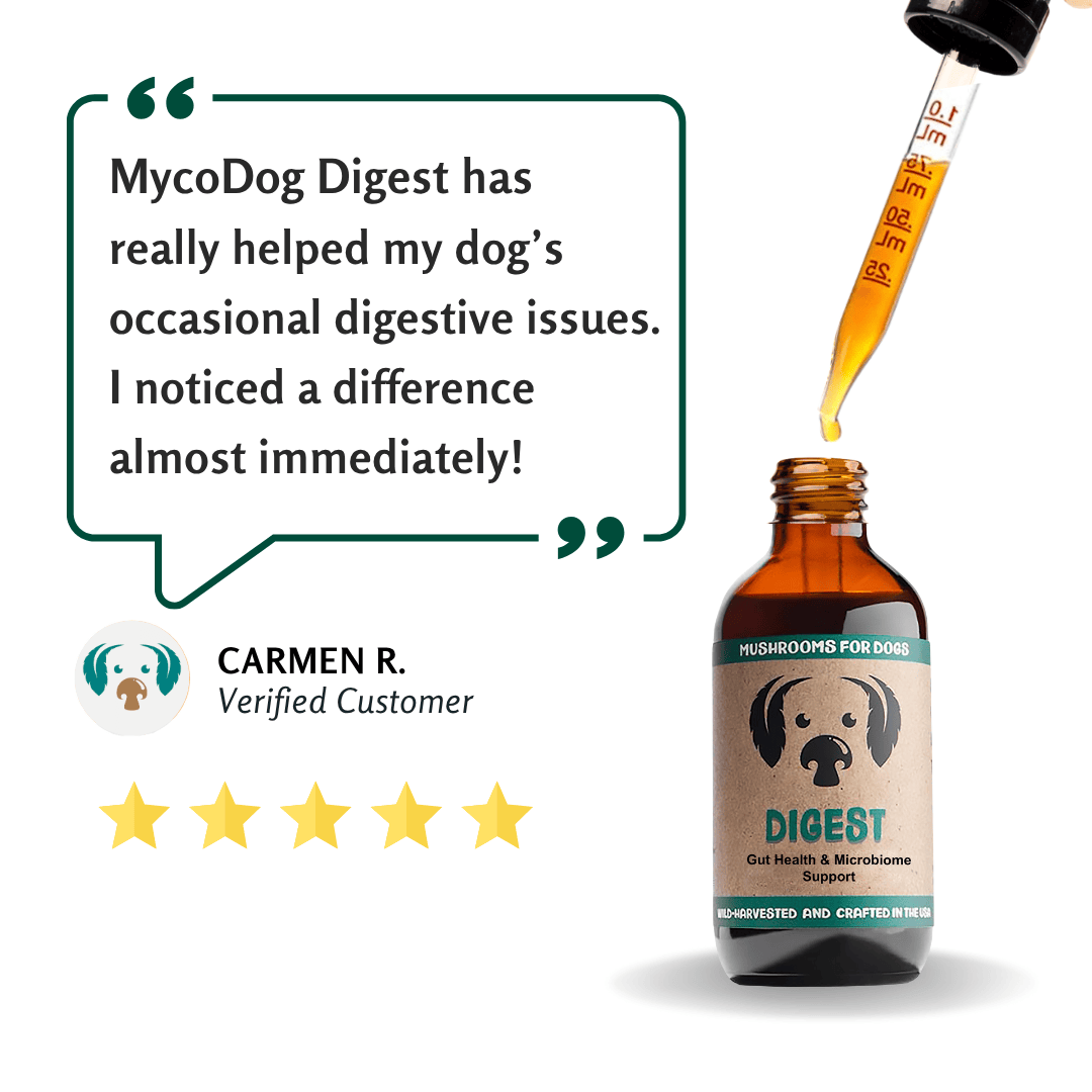 MycoDog Digest