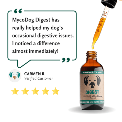 MycoDog Digest