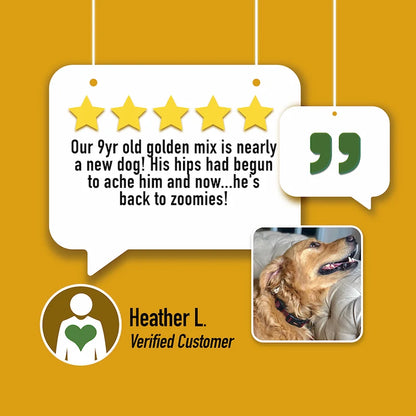 EASE: Mobility + Itchy Dogs