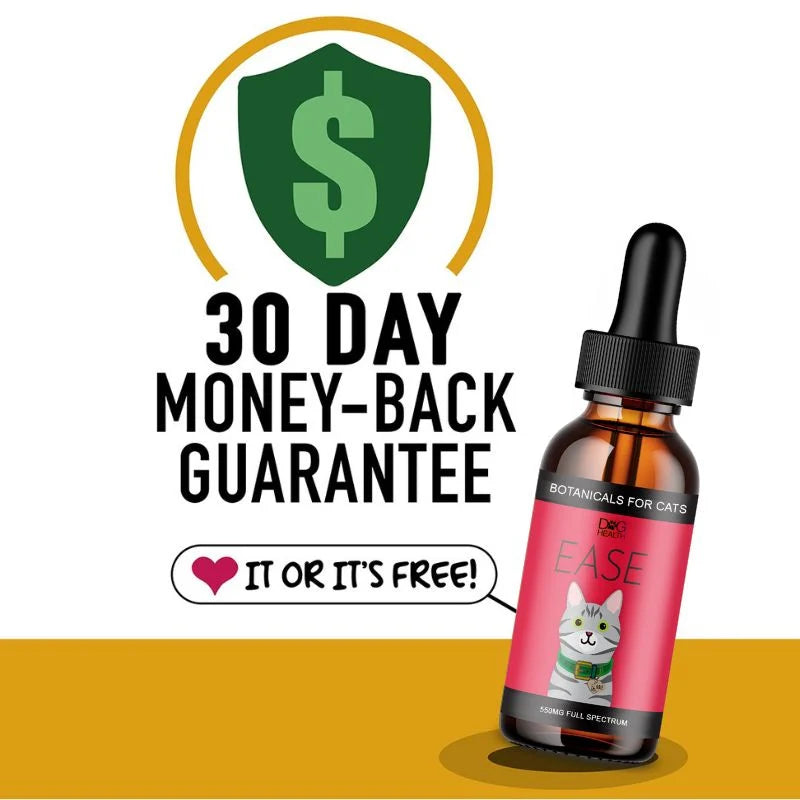 EASE: Mobility & Itchy Cats