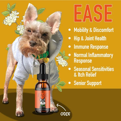 EASE: Mobility + Itchy Dogs