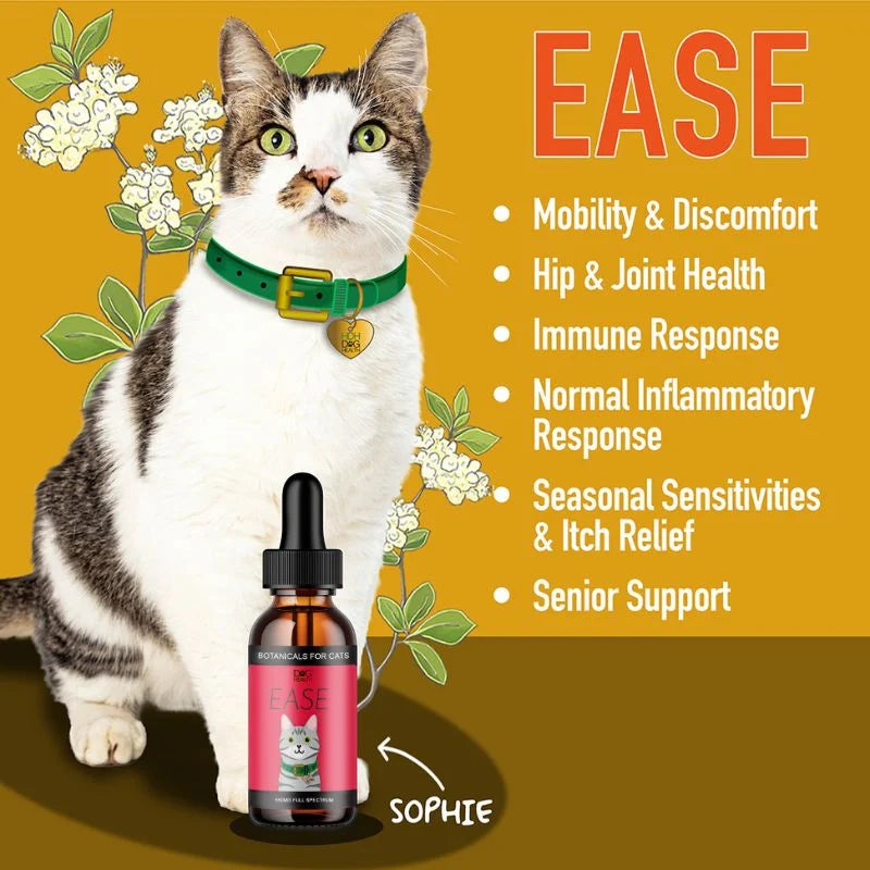 EASE: Mobility & Itchy Cats