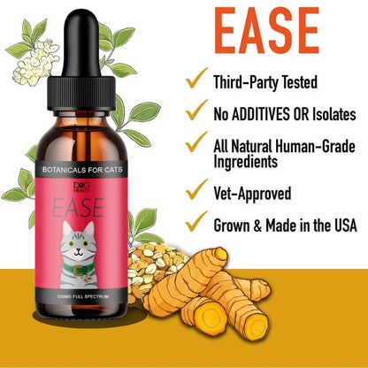 EASE: Mobility & Itchy Cats