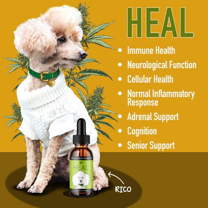 HEAL: Immune & Inflammatory Balance