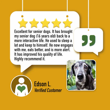 HEAL: Immune & Inflammatory Balance