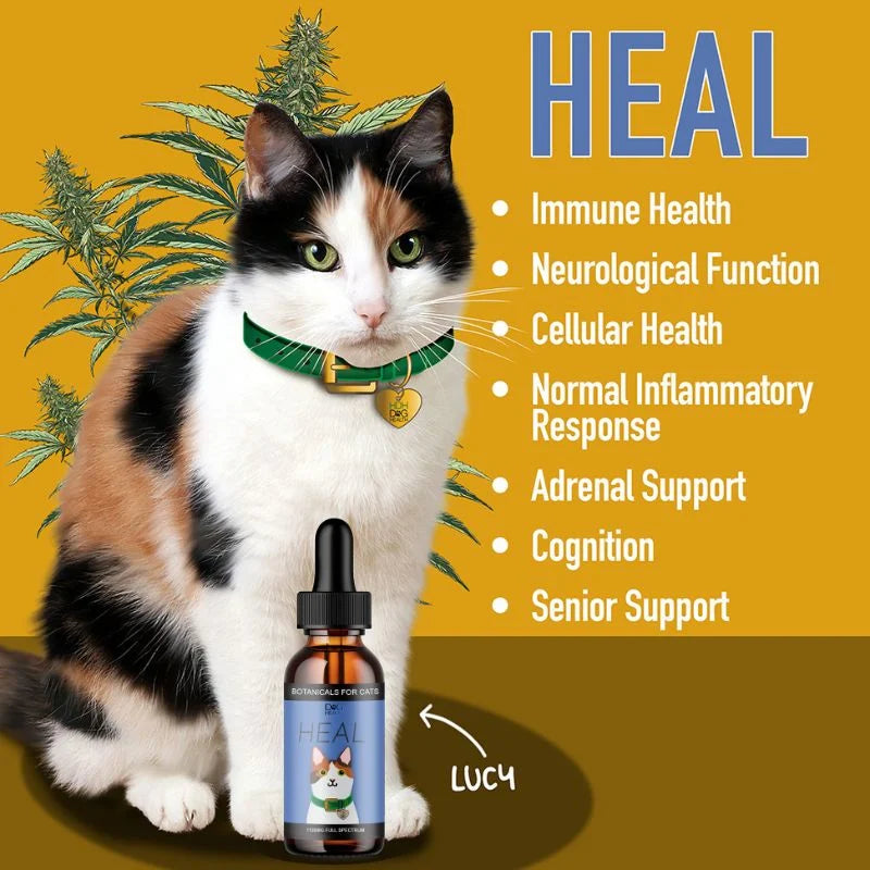 HEAL: Immune & Inflammatory Balance for Cats