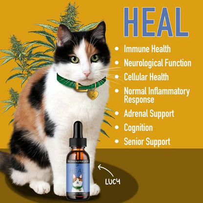 HEAL: Immune & Inflammatory Balance for Cats