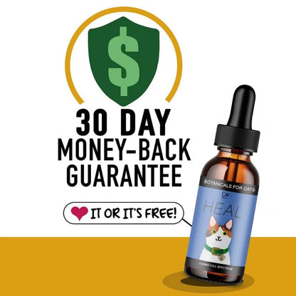 HEAL: Immune & Inflammatory Balance for Cats
