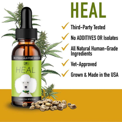 HEAL: Immune & Inflammatory Balance