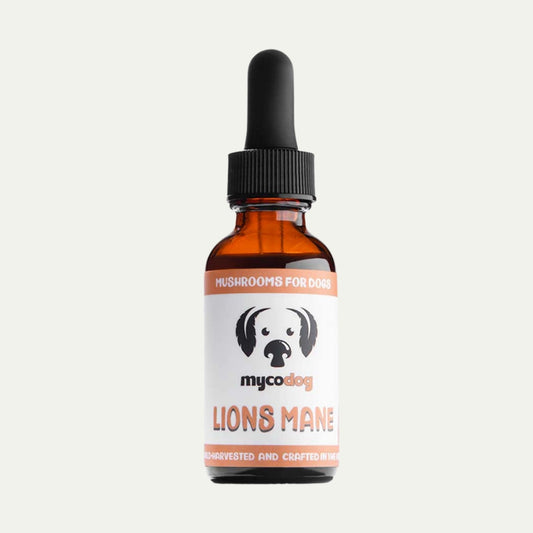 Lion's Mane Mushroom for Dogs