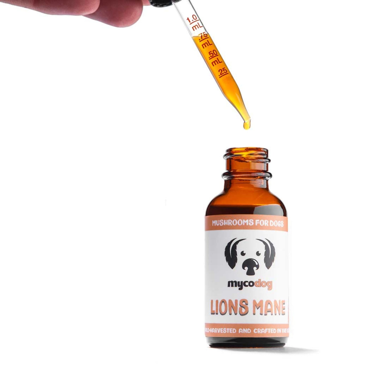 MycoDog Lion's Mane Single Extract mushroom tincture for dogs with dropper