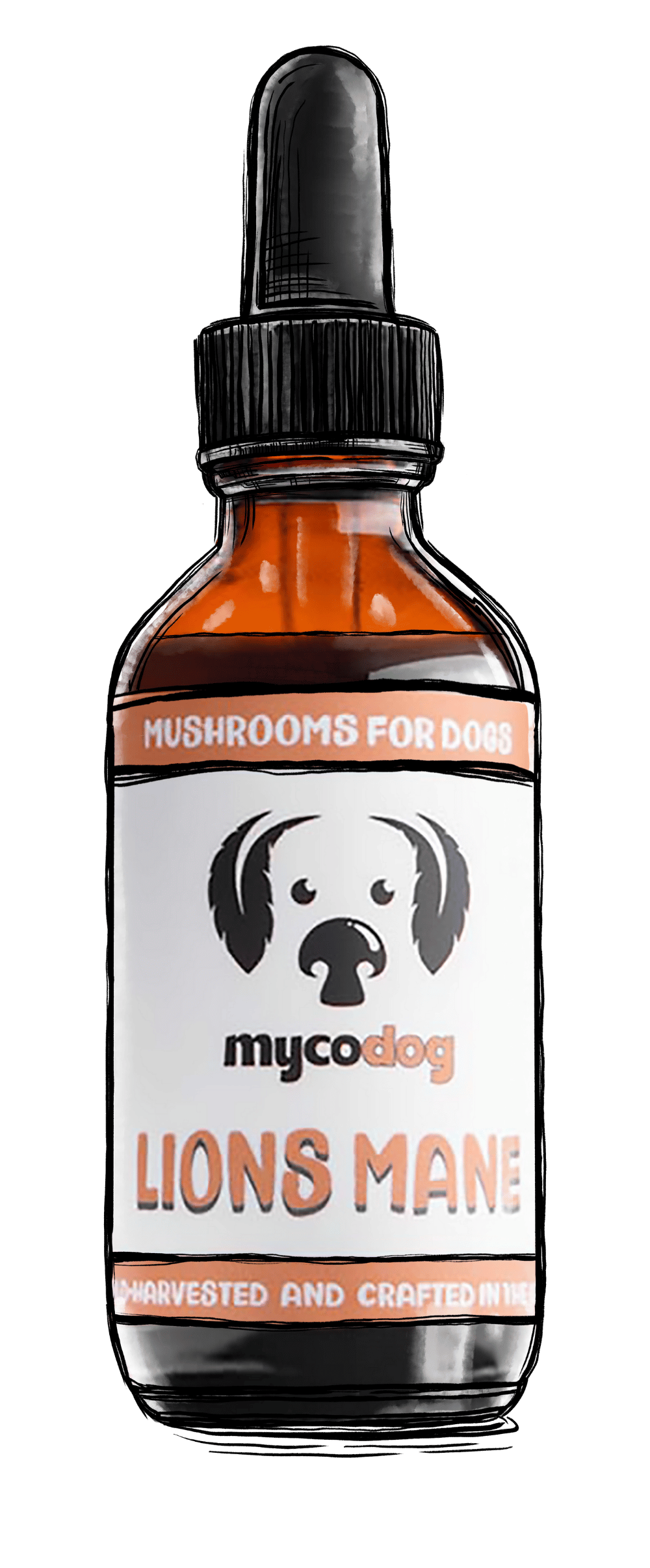 MycoDog Lion's Mane Single Extract mushroom tincture for dogs Sketched bottle