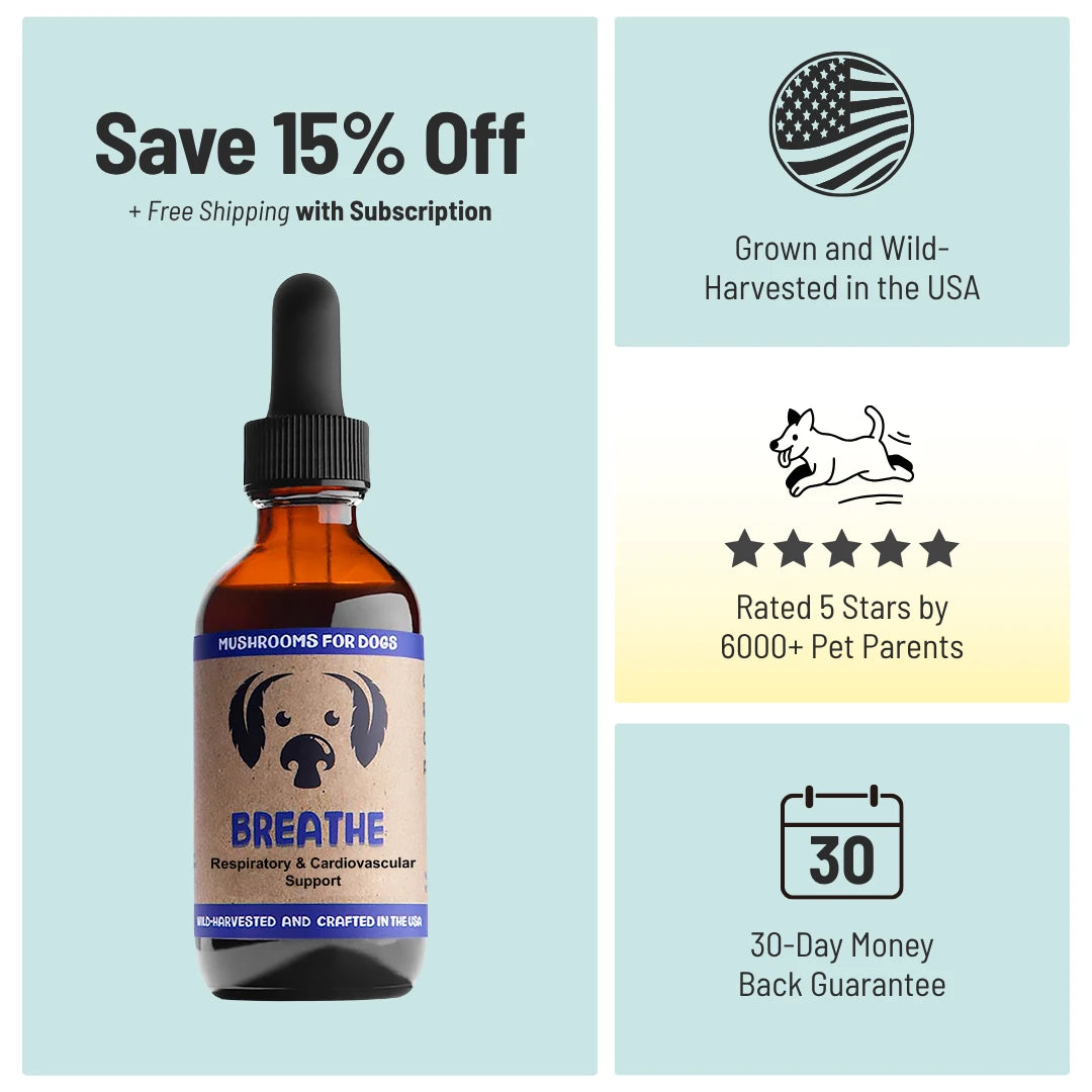 MycoDog Breathe