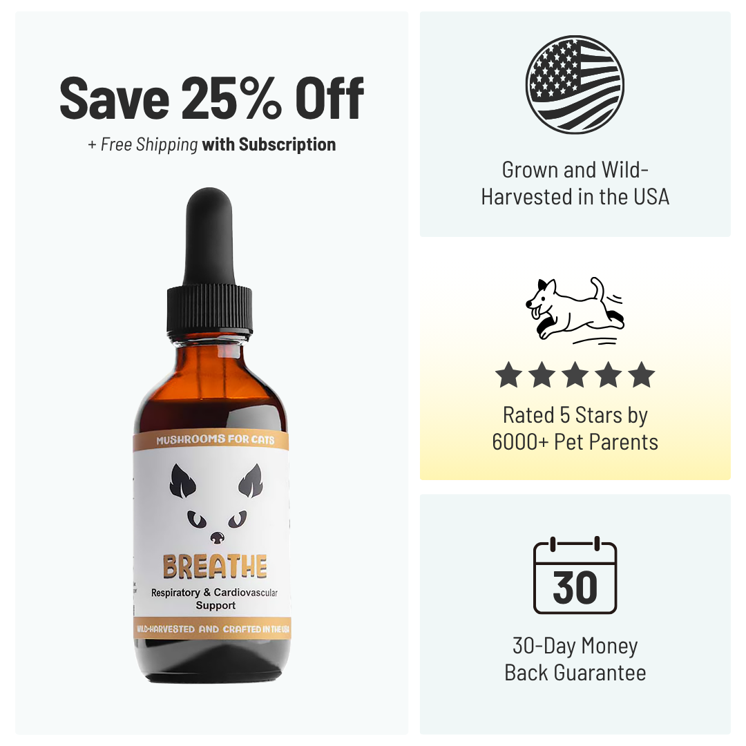 MycoCat Breathe