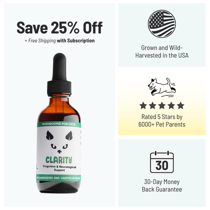 MycoCat Clarity